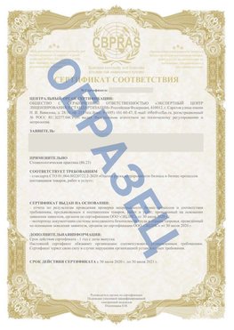 Образец Сертификат СТО 01.064.00220722.2-2020 Лесозаводск Сертификат СТО 01.064.00220722.2-2020 